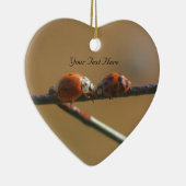 キスをするなてんとう虫のかわいい自然のオーナメント セラミックオーナメント (右)