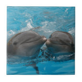 キスをするなイルカ タイル (正面)