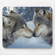 キスをするなオオカミ