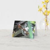 キスをするなシマリス カード (黄色い花)