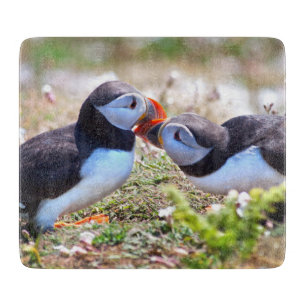 キスをするなツノメドリのガラスまな板 カッティングボード