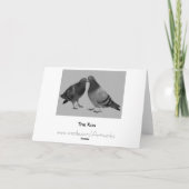 キスをするなハト挨拶状 カード (裏面)