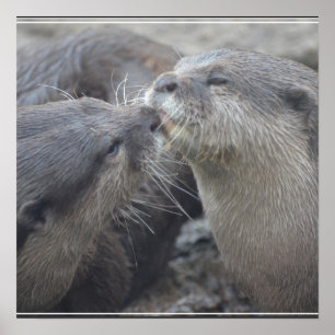 キスをするな川カワウソ ポスター