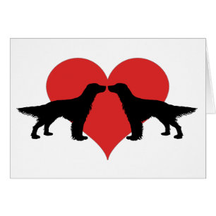 キスをするな犬
