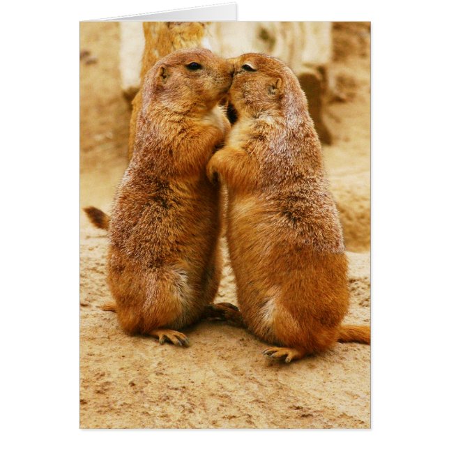 キスをするな黒によって後につかれるプレーリードッグ (正面)