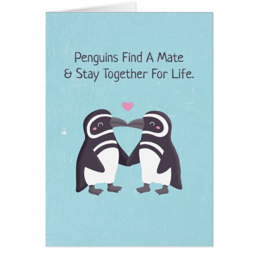 キスをするペンギンおもしろいよ私のペンギンの夫よ (正面)