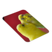 キスをする仲間! マグネット (右側)