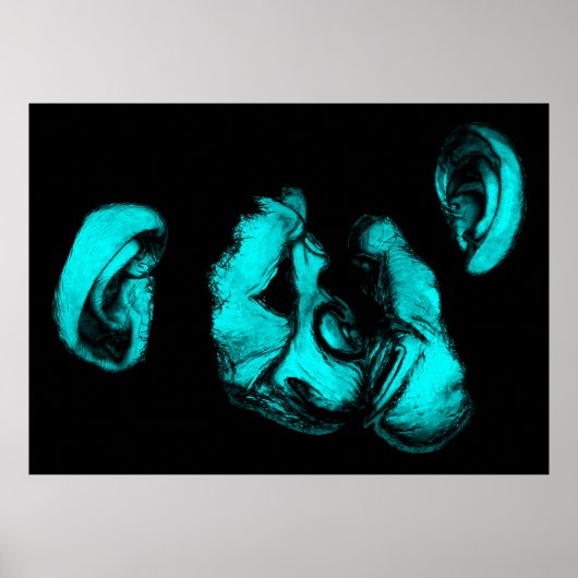 キスをするchimps ：ネオンターコイズ ポスター (正面)