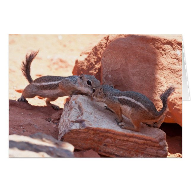 キスを避けて下さい (正面横)