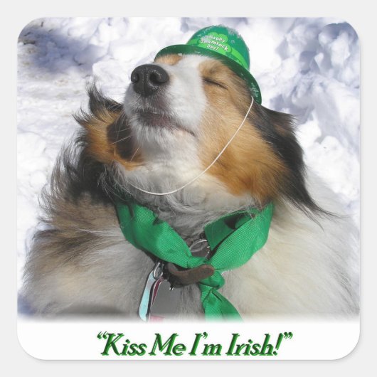 キスアイリッシュだ！ スクエアシール (正面)