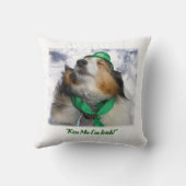 キスアイリッシュだ！装飾用クッション クッション (裏面)