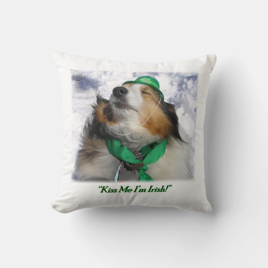 キスアイリッシュだ！装飾用クッション クッション (正面)