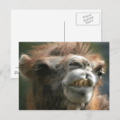 キスキス ポストカード (正面/裏面)