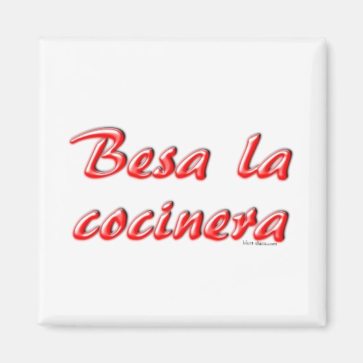 キスザ調理師 マグネット (正面)