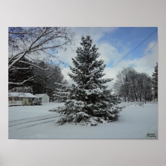 キストマスツリーアンカット ポスター (正面)