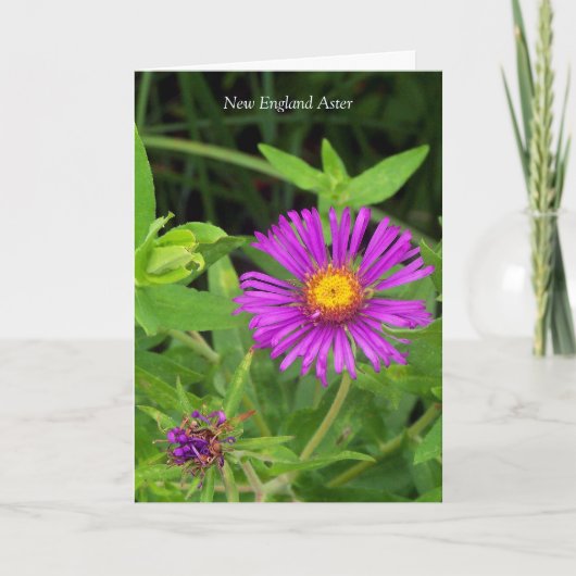 キスハグなし…ガーデニング引用文 カード (正面)