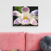 キスビラ キャンバスプリント (インサイチュ (リビング))