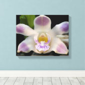 キスビラ キャンバスプリント (インサイチュ (ウッドフロア))