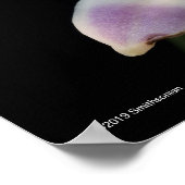 キスビラ ポスター (角)