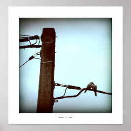 キスポスター ポスター