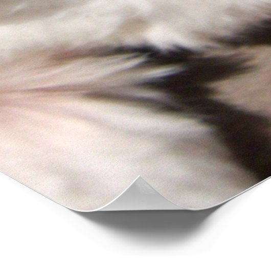 キスポスター ポスター (角)