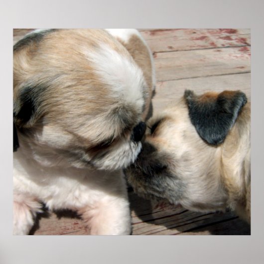 キスポスター ポスター (正面)