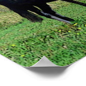 キスポスター ポスター (角)