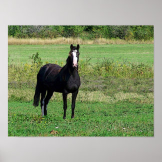 キスポスター ポスター