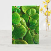 キスマイアイリッシュセントパトリックの日ロマンチックなカード カード (黄色い花)