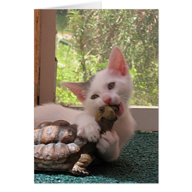 キスマーク (正面)