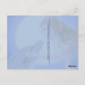 キスメマーメイド&ドルフィンファンタジーはがき ポストカード (裏面)