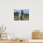 キスメラマクローズアップ ポスター (キッチン)