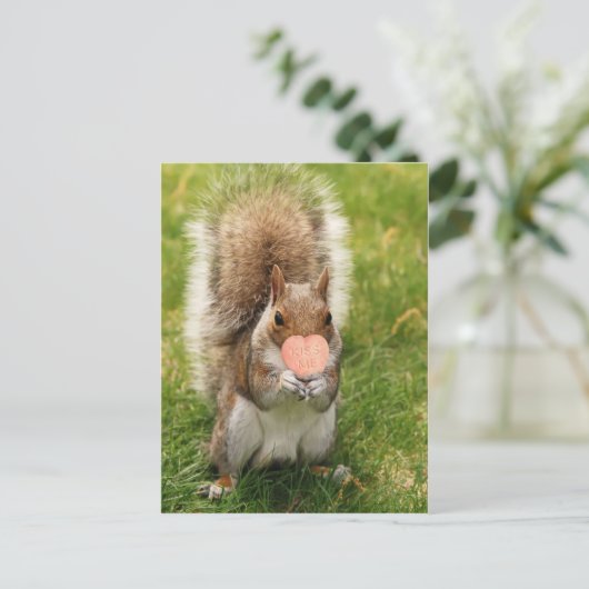 キスリス ポストカード (スタンド正面)