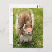 キスリス ポストカード (正面/裏面)