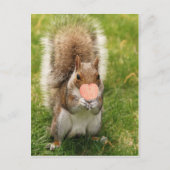 キスリス ポストカード (正面)