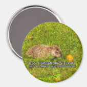 キス今日はグラウンドホッグ。狂犬病で磁石を撃たれる マグネット (正面/裏面)