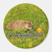 キス今日はグラウンドホッグ。狂犬病で磁石を撃たれる マグネット (正面)