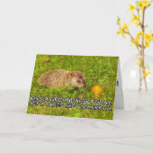 キス今日はグラウンドホッグ。狂犬病のショットカードを取る カード (黄色い花)