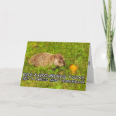 キス今日はグラウンドホッグ。狂犬病のショットカードを取る カード (正面)