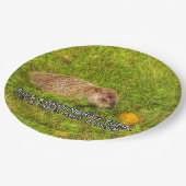 キス今日はグラウンドホッグ。狂犬病のプレートを撮る ペーパープレート (アングル)