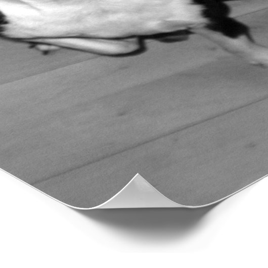 キス名 ポスター (角)