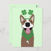 キス私アイリッシュブラウンドググリーン ポストカード (正面/裏面)