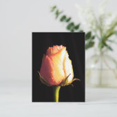 キス・オブ・レイン ポストカード (スタンド正面)