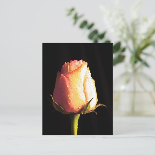 キス・オブ・レイン ポストカード (スタンド正面)