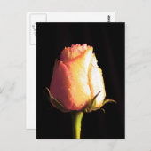 キス・オブ・レイン ポストカード (正面/裏面)