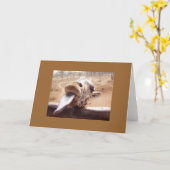 キス カード (黄色い花)