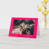 キス カード (黄色い花)