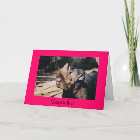 キス カード (正面)