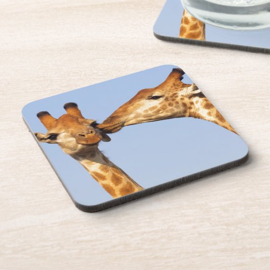 キス コースター (左側)