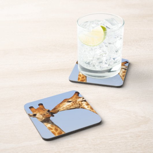 キス コースター (右側)